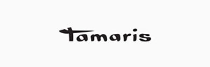 Tamaris